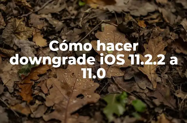 Cómo Hacer Downgrade Ios 11.2.2 a 11.0