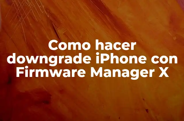 Qué es Downgrade iPhone con Firmware Manager X