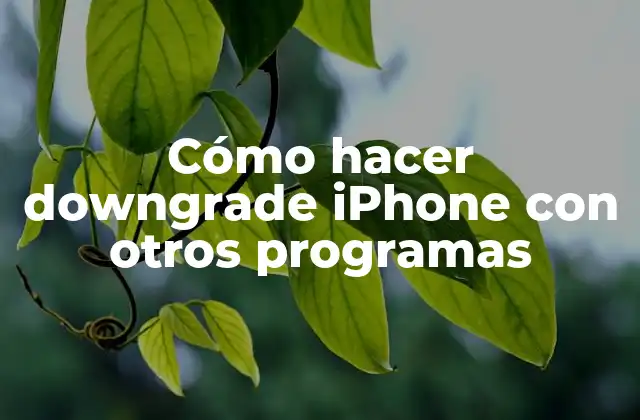 Cómo Hacer Downgrade Iphone con Otros Programas