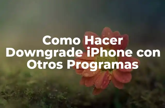 Downgrade iPhone con Otros Programas: ¿Qué es y para qué sirve?