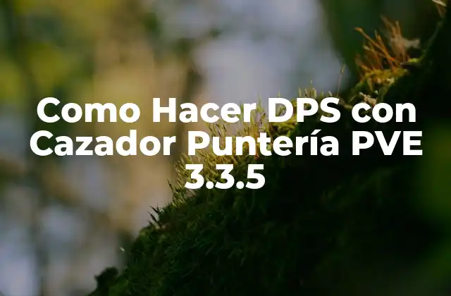 Como Hacer Dps con Cazador Puntería Pve 3.3.5