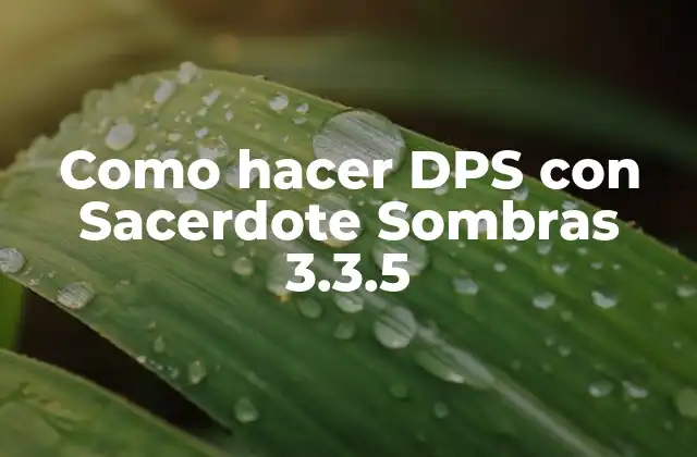 Como Hacer Dps con Sacerdote Sombras 3.3.5 2 ¿Qué es el DPS con Sacerdote Sombras 3.3.5?