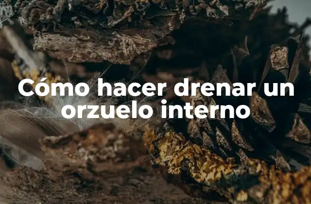 Cómo Hacer Drenar un Orzuelo Interno