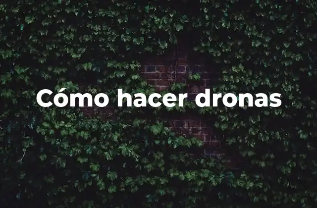Cómo Hacer Dronas