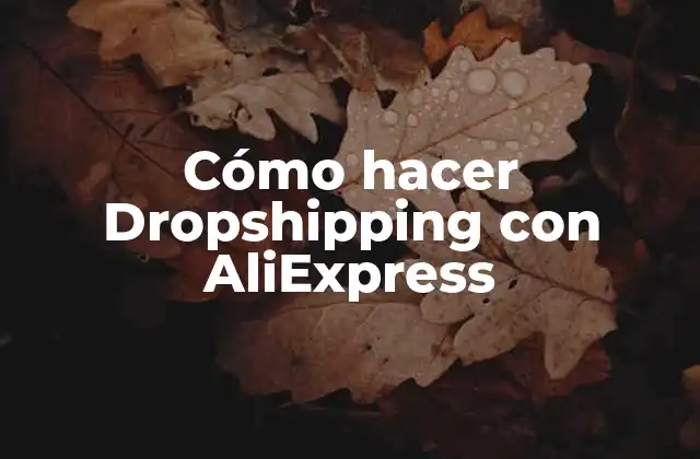 ¿Qué es Dropshipping y cómo funciona con AliExpress?