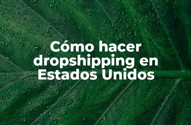 Cómo Hacer Dropshipping en Estados Unidos