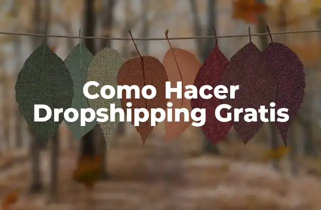 Como Hacer Dropshipping Gratis