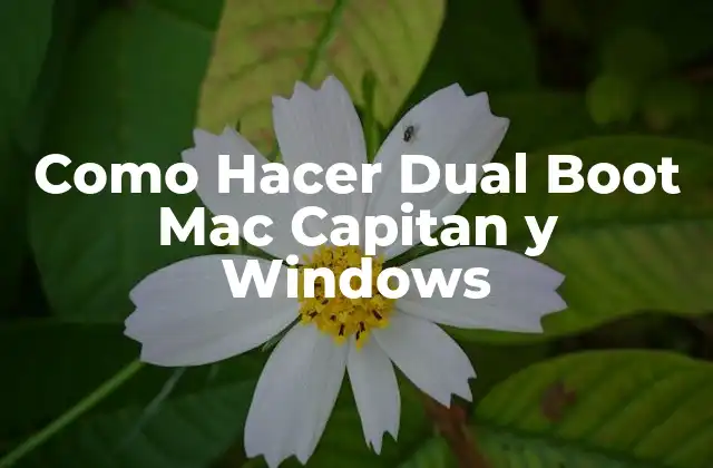 Qué es Dual Boot y cómo funciona