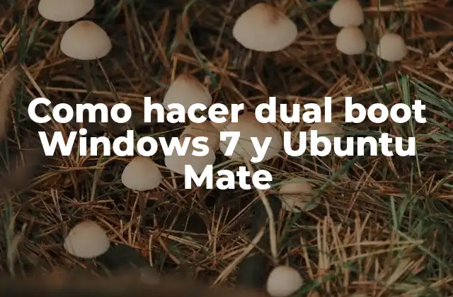 Como Hacer Dual Boot Windows 7 y Ubuntu Mate