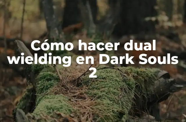Cómo Hacer Dual Wielding en Dark Souls 2