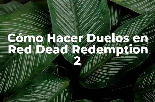 Cómo Hacer Duelos en Red Dead Redemption 2
