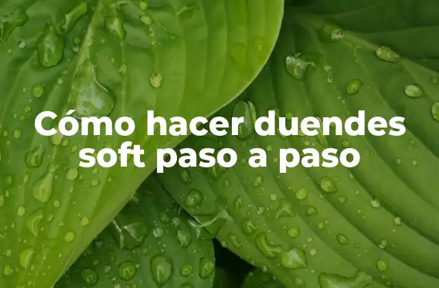Cómo Hacer Duendes Soft Paso a Paso 2 Qué son los duendes soft y para qué sirven