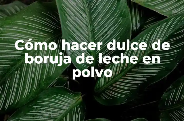 Cómo Hacer Dulce de Boruja de Leche en Polvo
