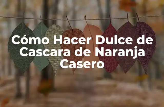 Cómo Hacer Dulce de Cascara de Naranja Casero 2 ¿Qué es el Dulce de Cascara de Naranja Casero?