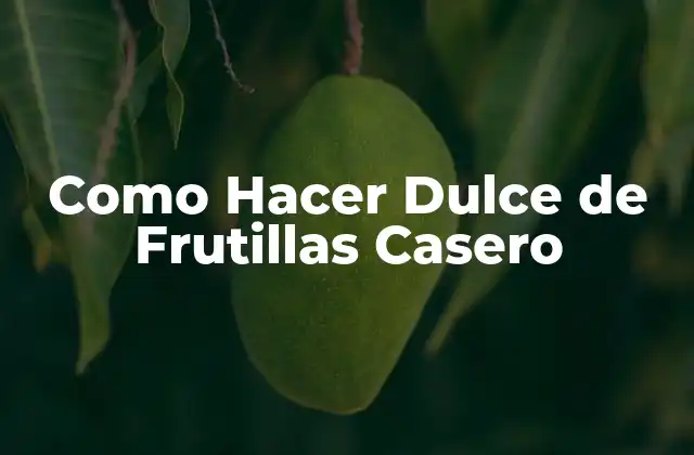 Como Hacer Dulce de Frutillas Casero