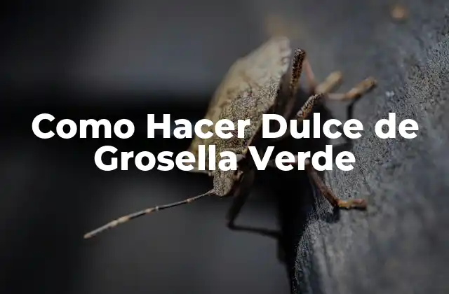Como Hacer Dulce de Grosella Verde