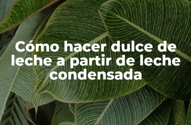 Cómo Hacer Dulce de Leche a Partir de Leche Condensada