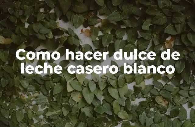 Como Hacer Dulce de Leche Casero Blanco 2 ¿Qué es el dulce de leche casero blanco?