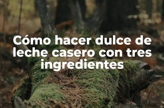 Cómo Hacer Dulce de Leche Casero con Tres Ingredientes