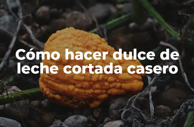 Cómo Hacer Dulce de Leche Cortada Casero