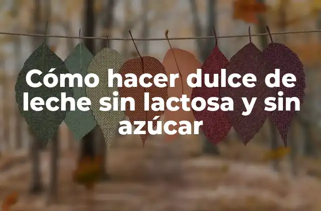 Cómo Hacer Dulce de Leche sin Lactosa y sin Azúcar