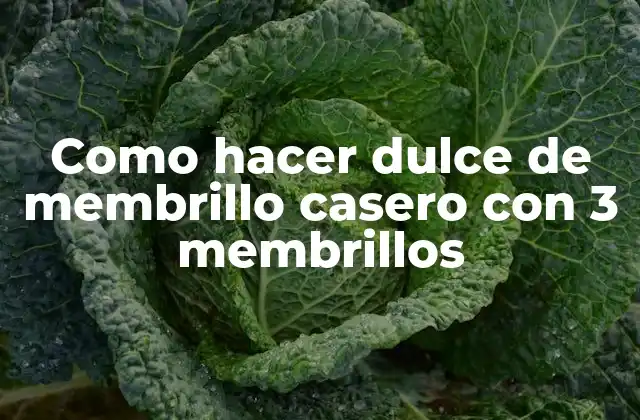 Como Hacer Dulce de Membrillo Casero con 3 Membrillos
