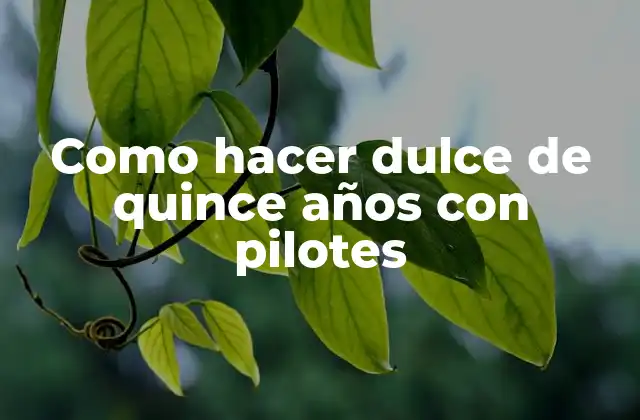 Como Hacer Dulce de Quince Años con Pilotes