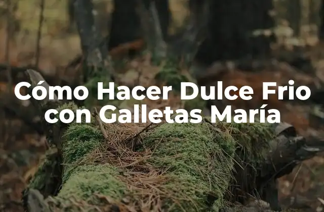 Cómo Hacer Dulce Frio con Galletas María