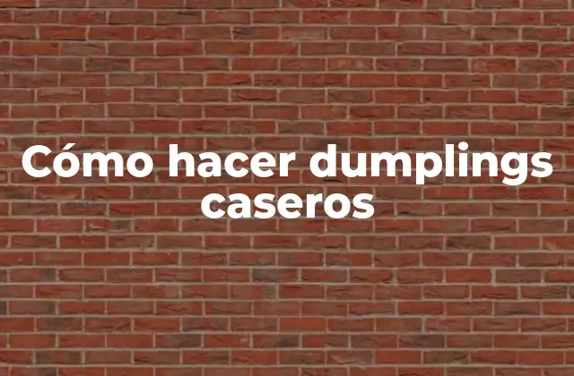 Cómo Hacer Dumplings Caseros 2 ¿Qué son los dumplings caseros?