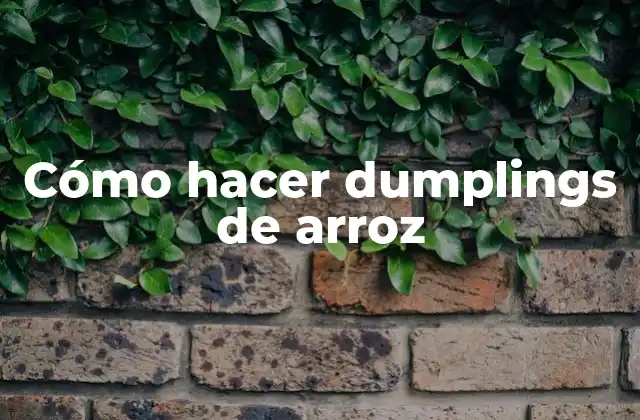 Cómo Hacer Dumplings de Arroz