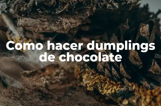 Como Hacer Dumplings de Chocolate