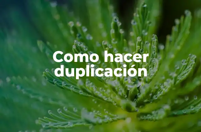 Como Hacer Duplicación