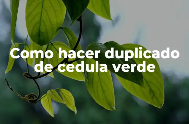 Como Hacer Duplicado de Cedula Verde 2 ¿Qué es un duplicado de cedula verde y para qué sirve?