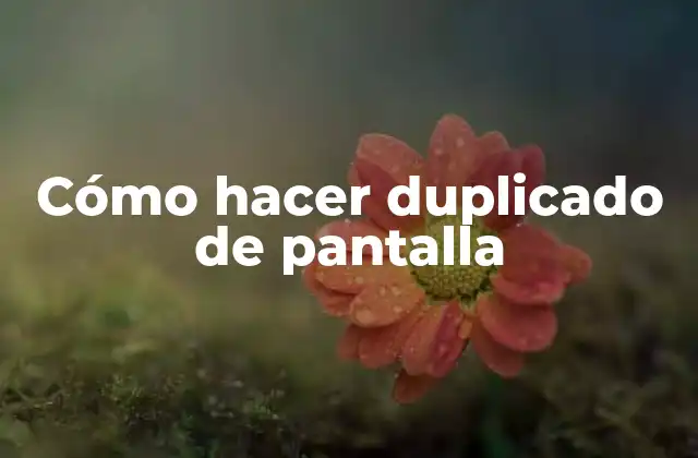 Cómo hacer duplicado de pantalla