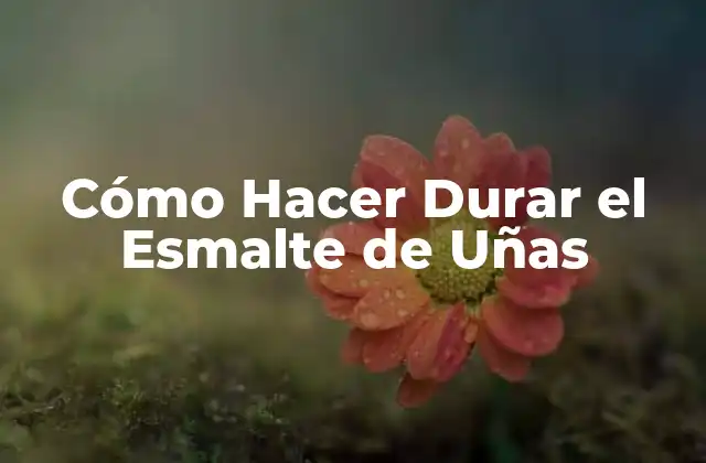 ¿Qué es el Esmalte de Uñas y Cómo se Usa?