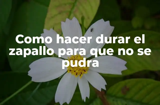 Como Hacer Durar el Zapallo para que No Se Pudra