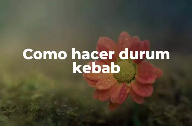 Como Hacer Durum Kebab 2 ¿Qué es un durum kebab?