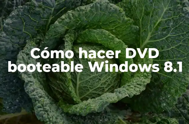 Cómo hacer DVD booteable Windows 8.1