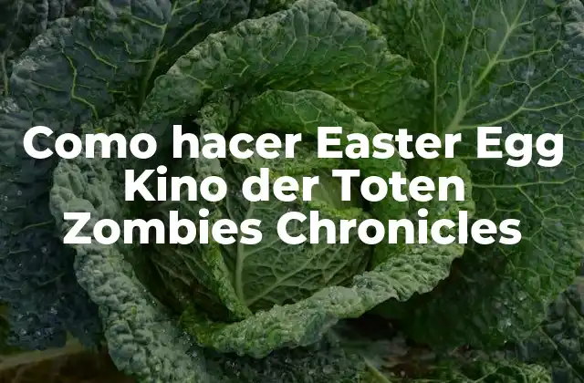 Como Hacer Easter Egg Kino Der Toten Zombies Chronicles