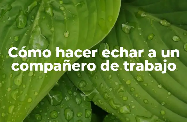 Cómo Hacer Echar a un Compañero de Trabajo