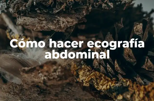 Cómo Hacer Ecografía Abdominal