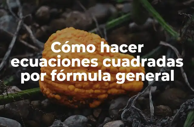 Cómo Hacer Ecuaciones Cuadradas por Fórmula General
