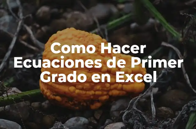 Como Hacer Ecuaciones de Primer Grado en Excel