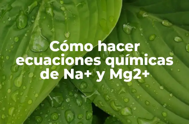 Cómo Hacer Ecuaciones Químicas de Na+ y Mg2+