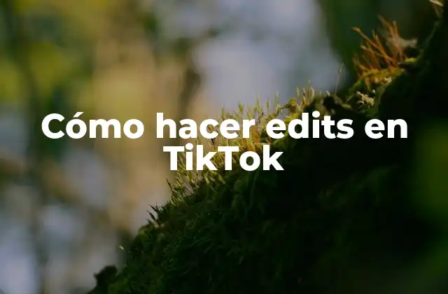 Cómo Hacer Edits en Tiktok