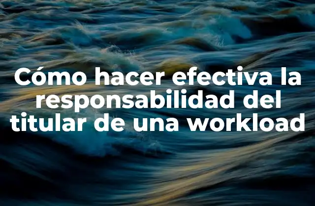 Cómo hacer efectiva la responsabilidad del titular de una workload