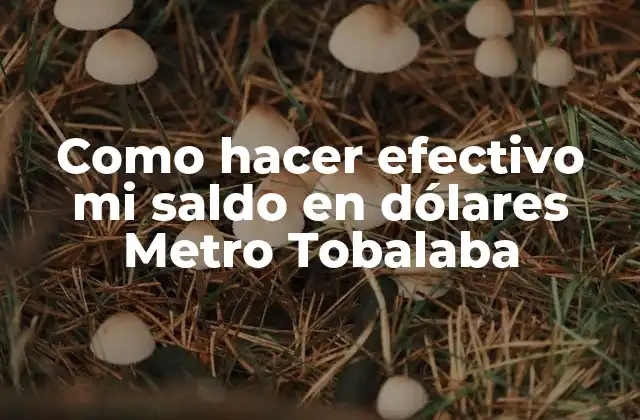 Como Hacer Efectivo Mi Saldo en Dólares Metro Tobalaba