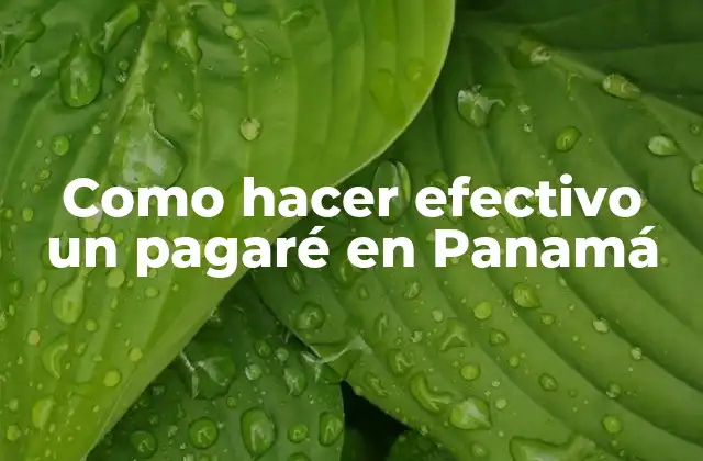Como Hacer Efectivo un Pagaré en Panamá