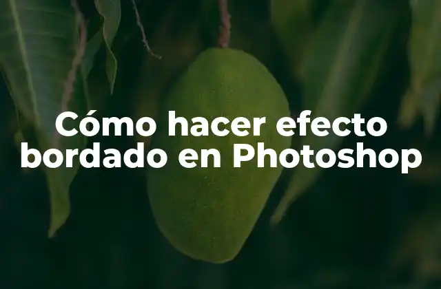 Cómo Hacer Efecto Bordado en Photoshop