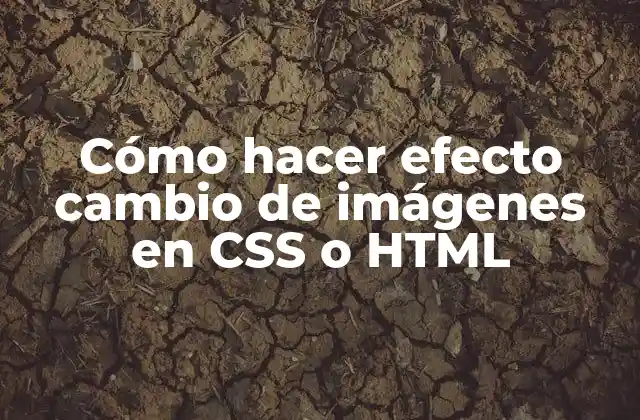 Cómo Hacer Efecto Cambio de Imágenes en Css o Html